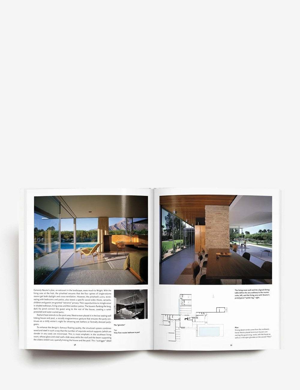 NEUTRA