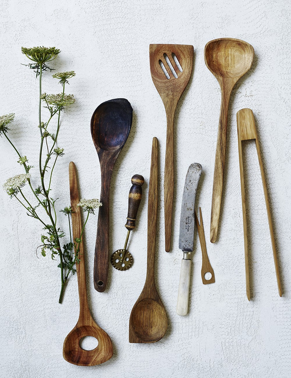 SPATULA NATURALEZA
