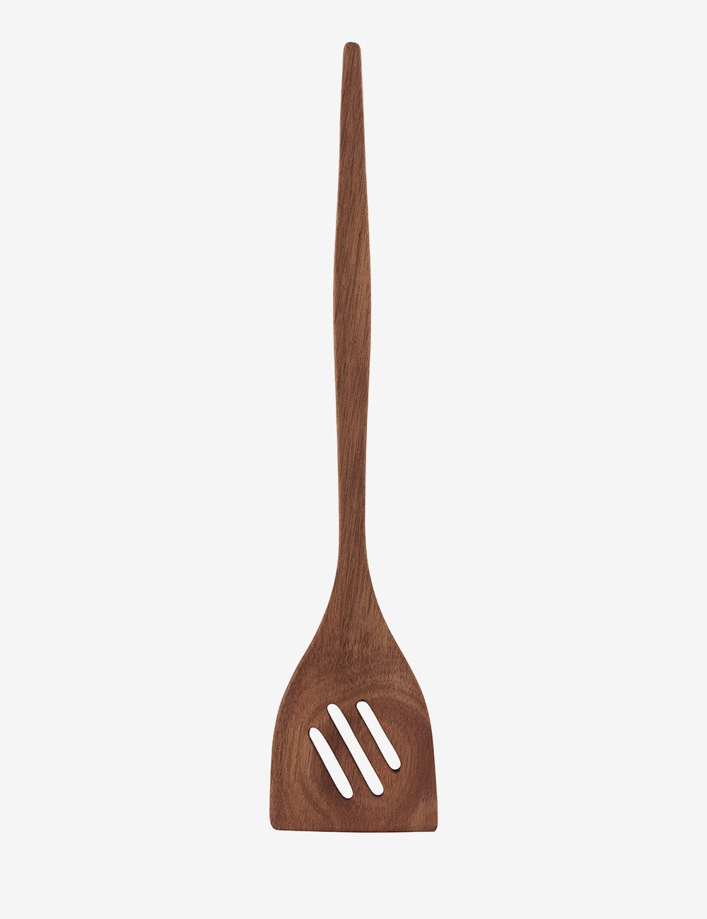 SPATULA NATURALEZA