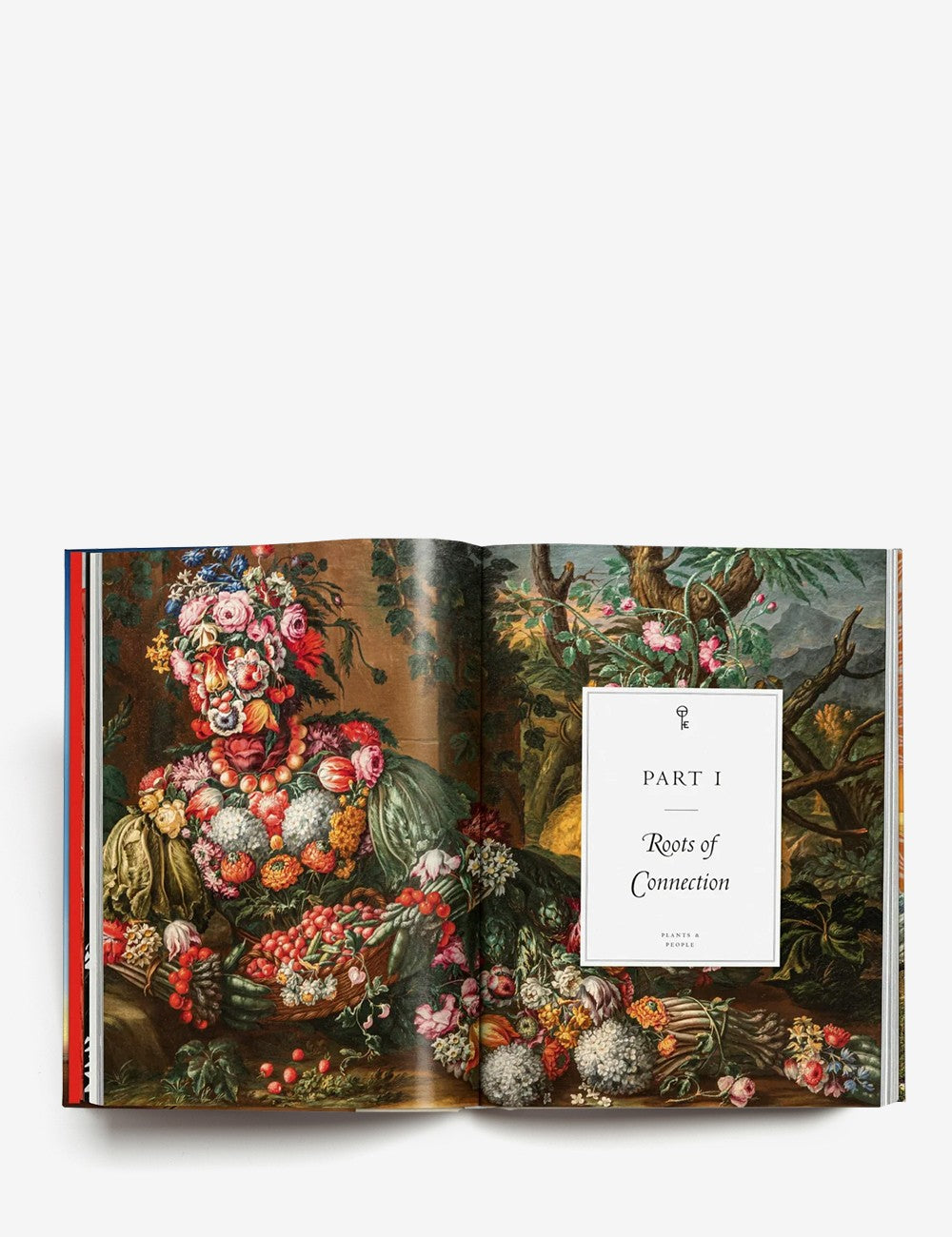 LA MAGIA DE LAS PLANTAS