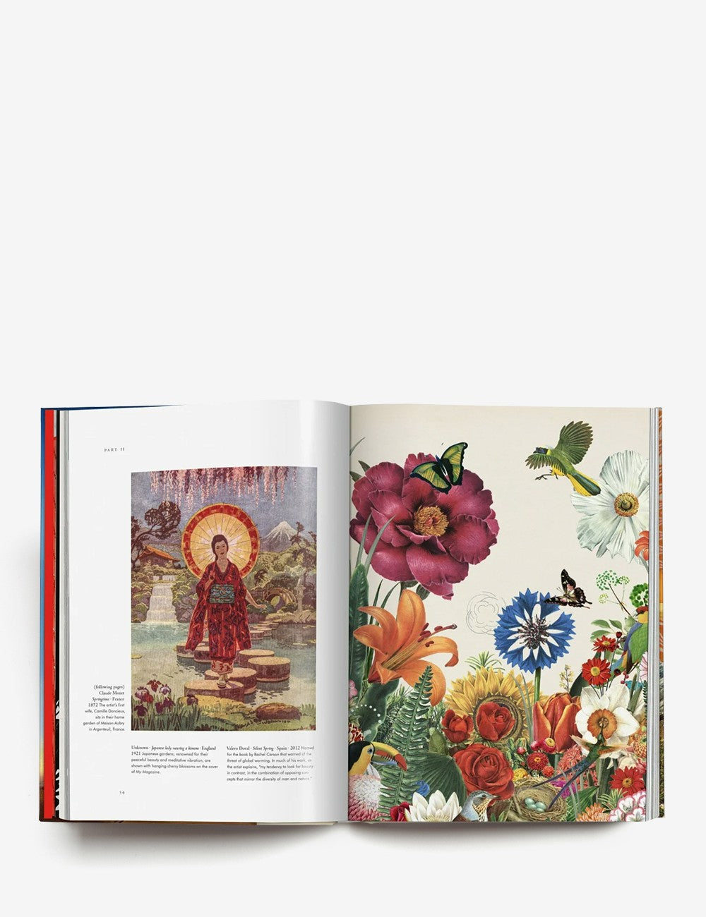 LA MAGIA DE LAS PLANTAS