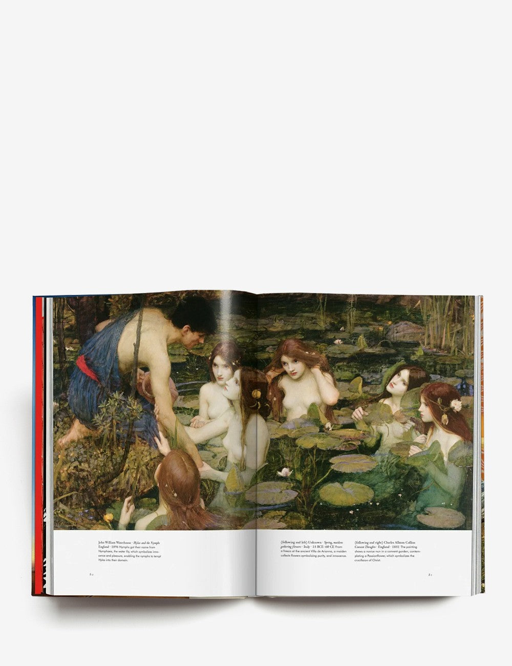 LA MAGIA DE LAS PLANTAS