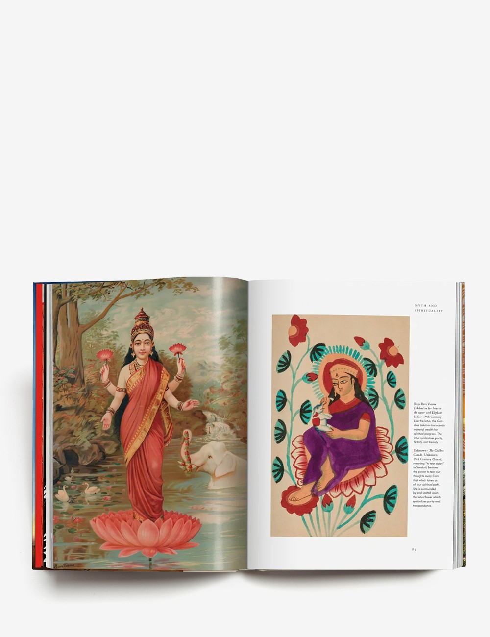 LA MAGIA DE LAS PLANTAS