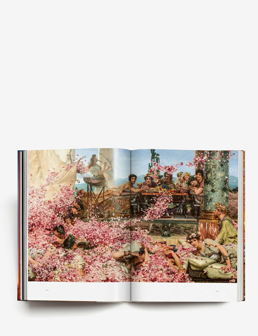 LA MAGIA DE LAS PLANTAS