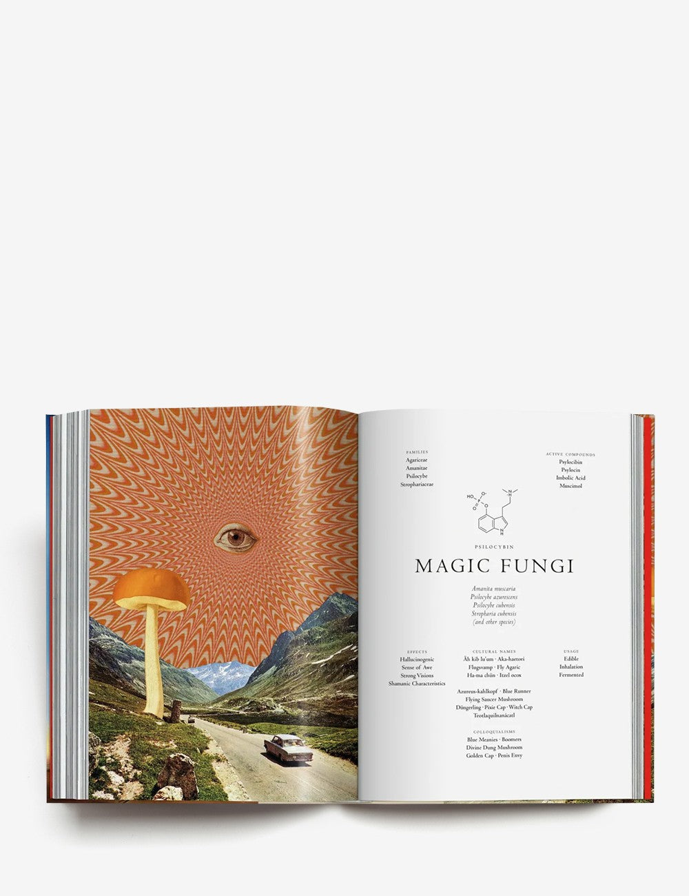 LA MAGIA DE LAS PLANTAS