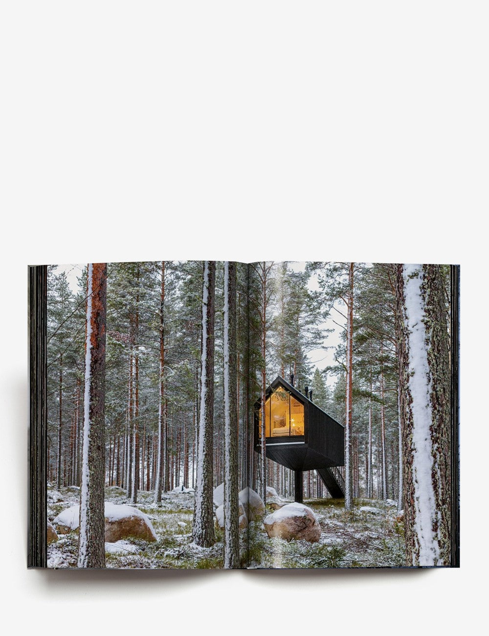 Homes For Our Time. Small Houses