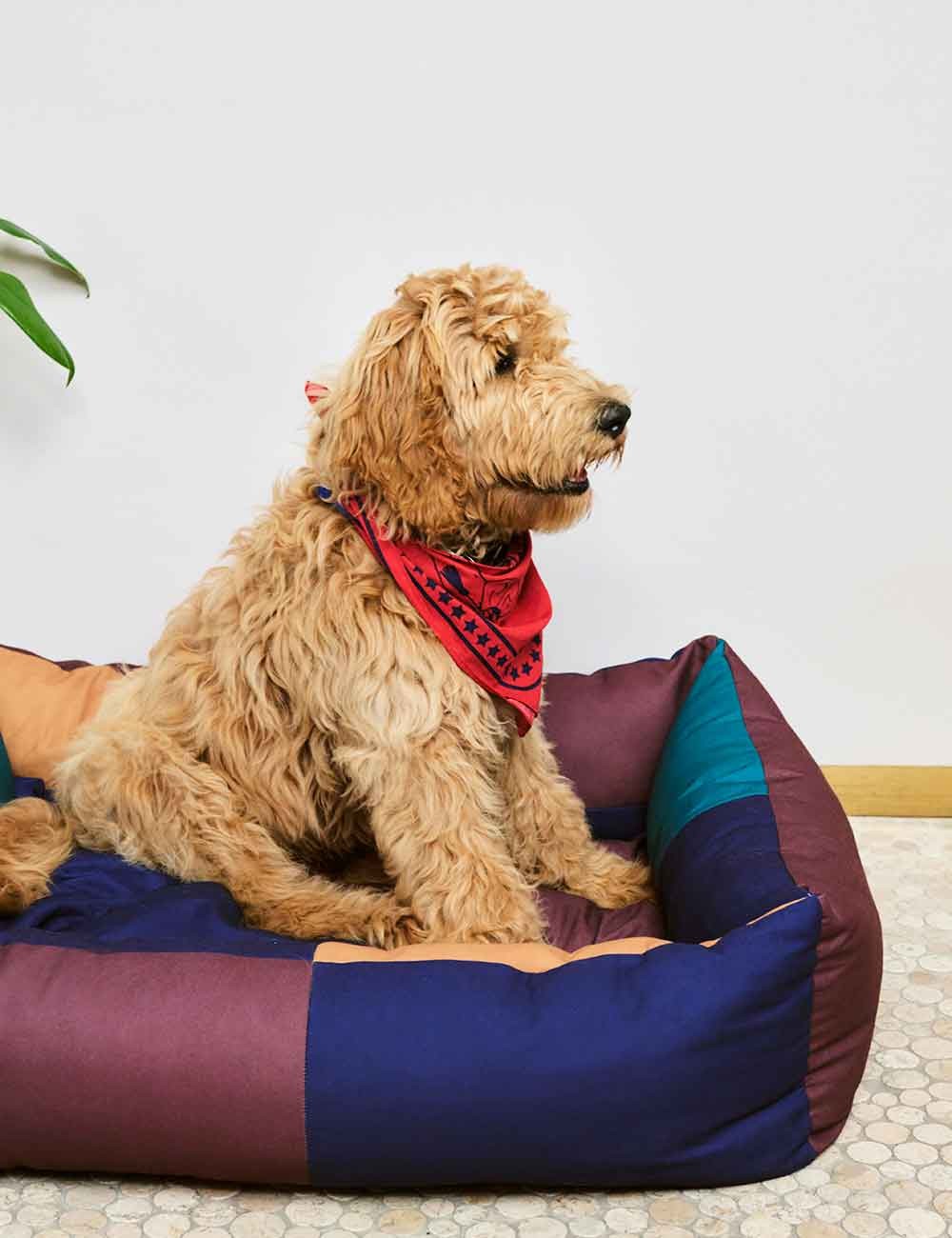 DOG BED LARGE