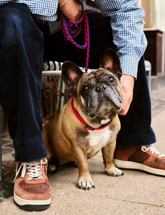 DOG LEASH BRAIDED