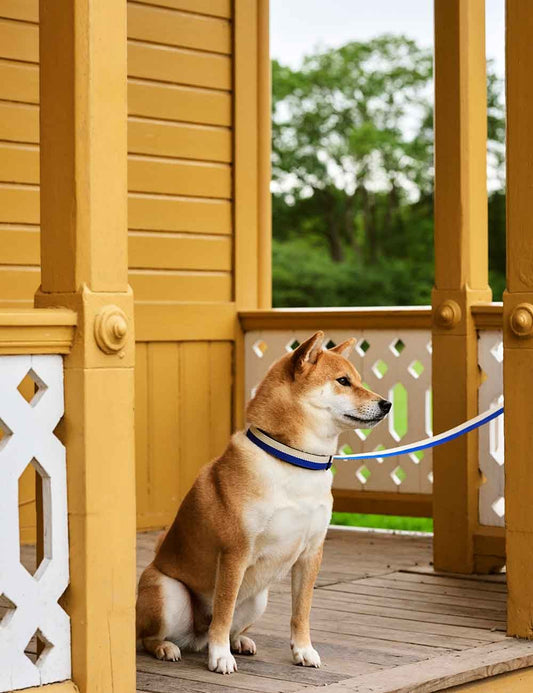 DOG LEASH