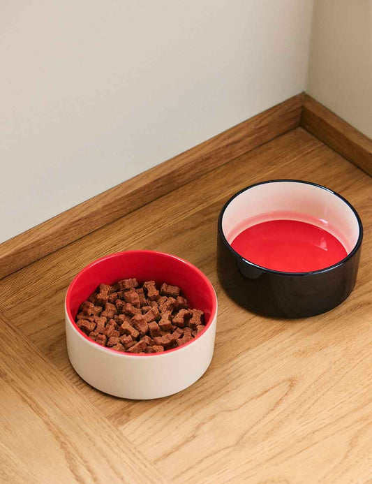 DOGS BOWL S