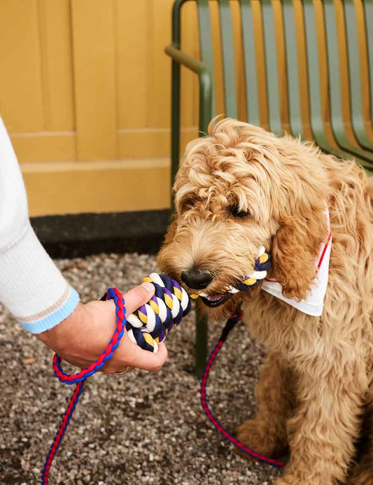 ROPE TOY