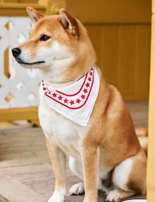 DOGS SCARF