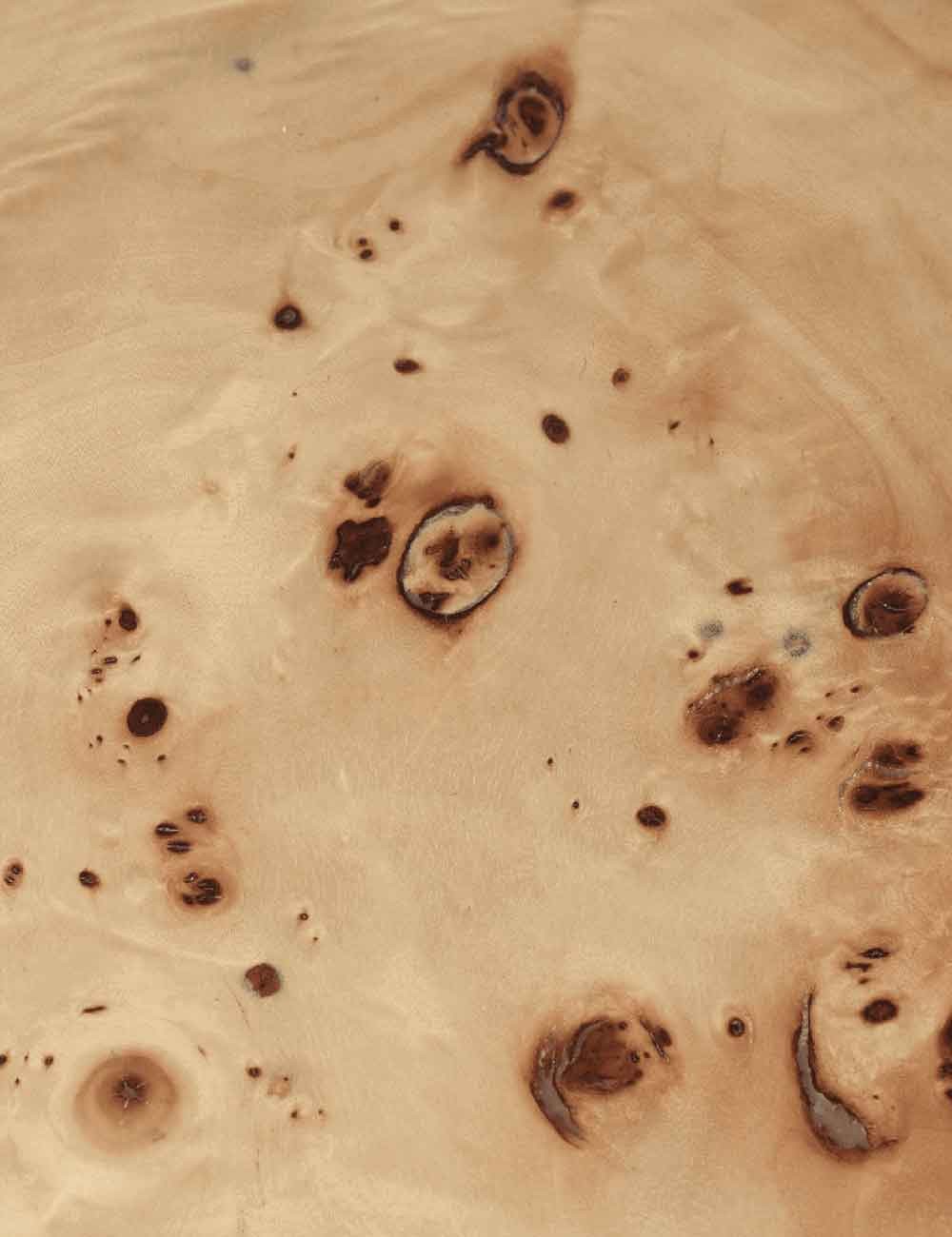 BURL COFFEE TABLE