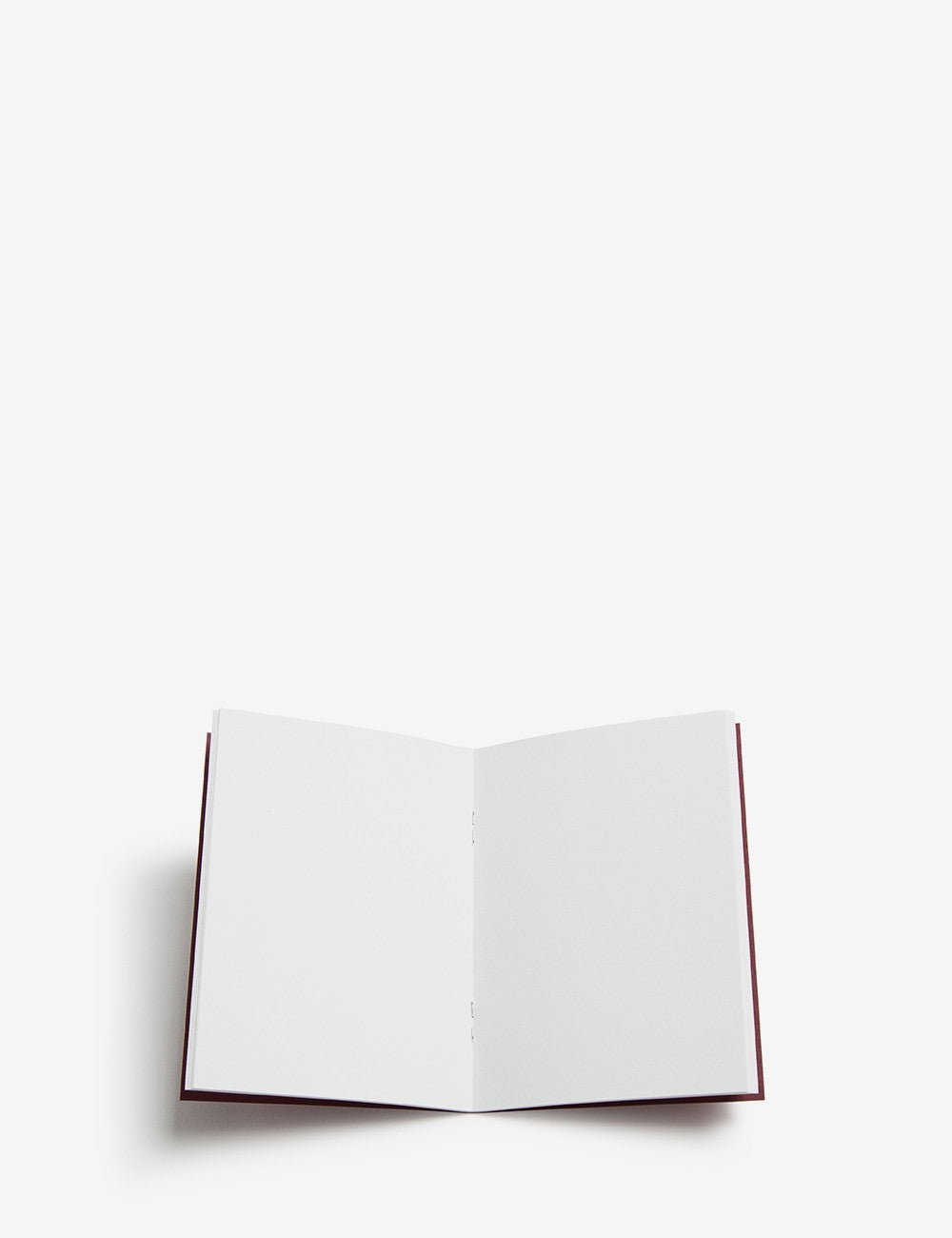 003 BRANCO PASSPORT