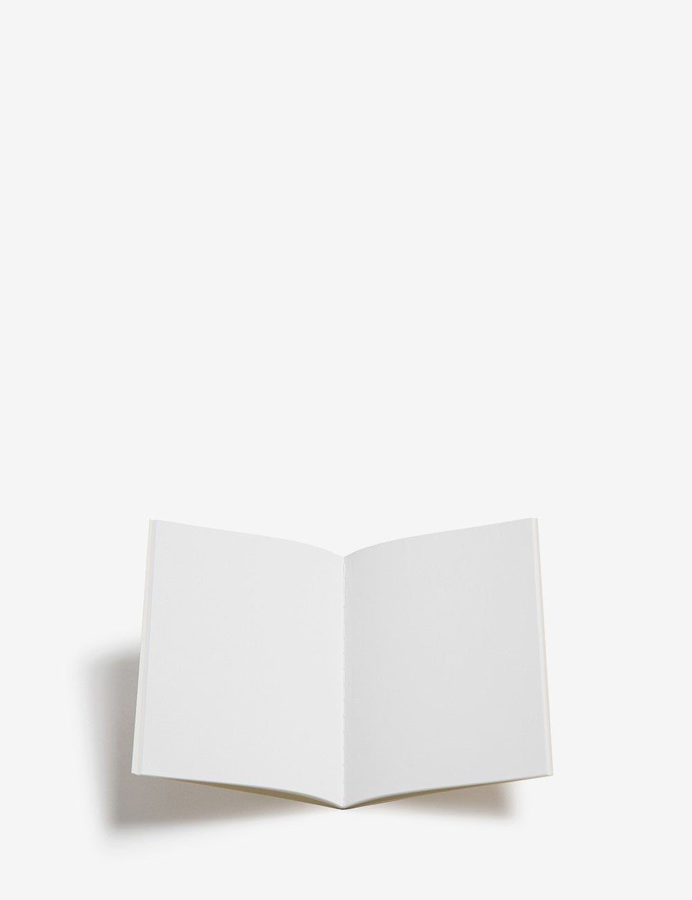 005 PAPEL LEVE PASSPORT