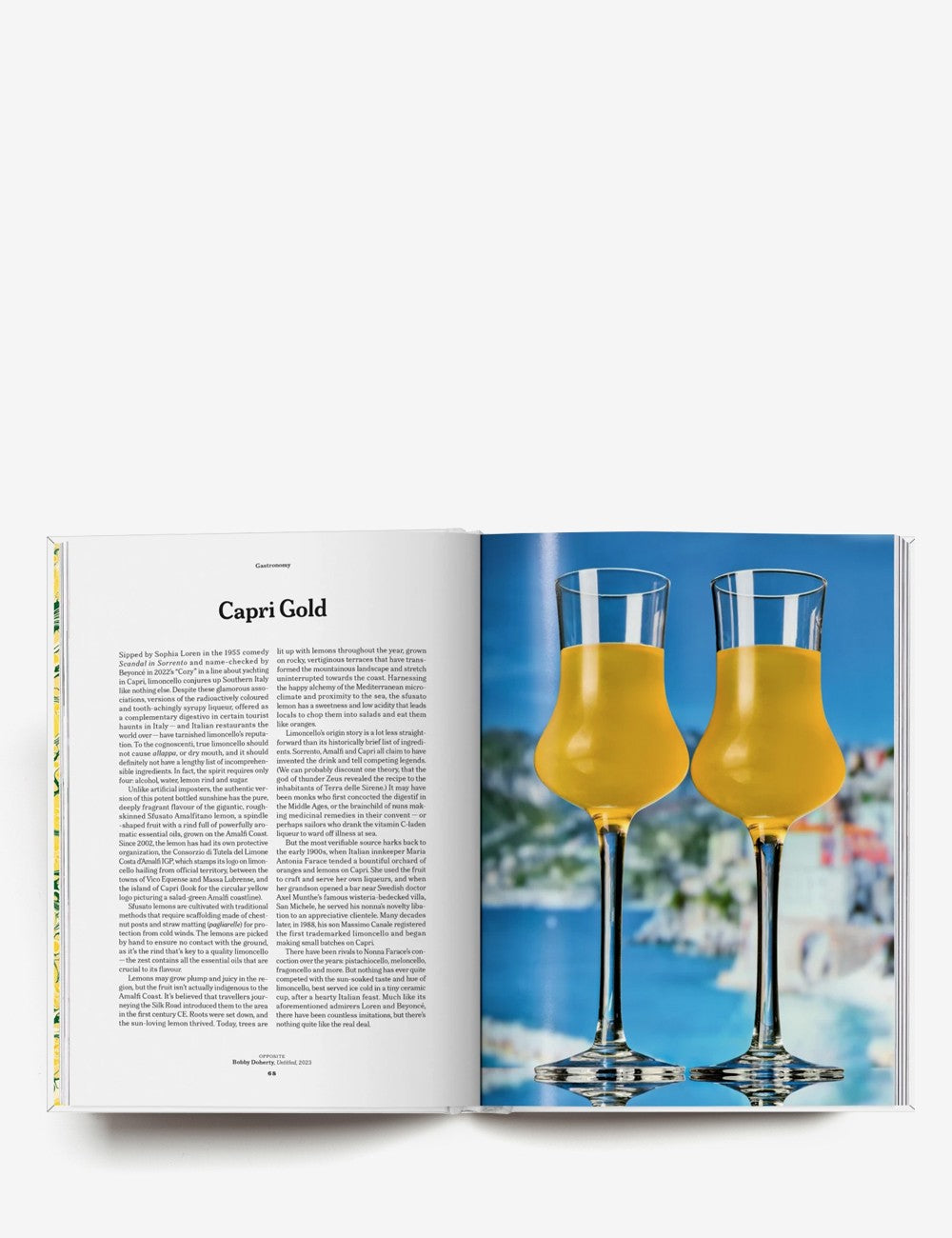 The Gourmand's Lemon. A Collection of Stories and Recipes