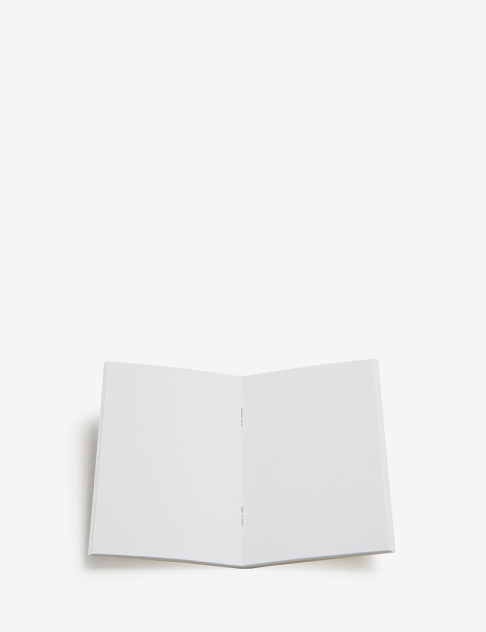 008 PAPEL ESBOÇO PASSPORT