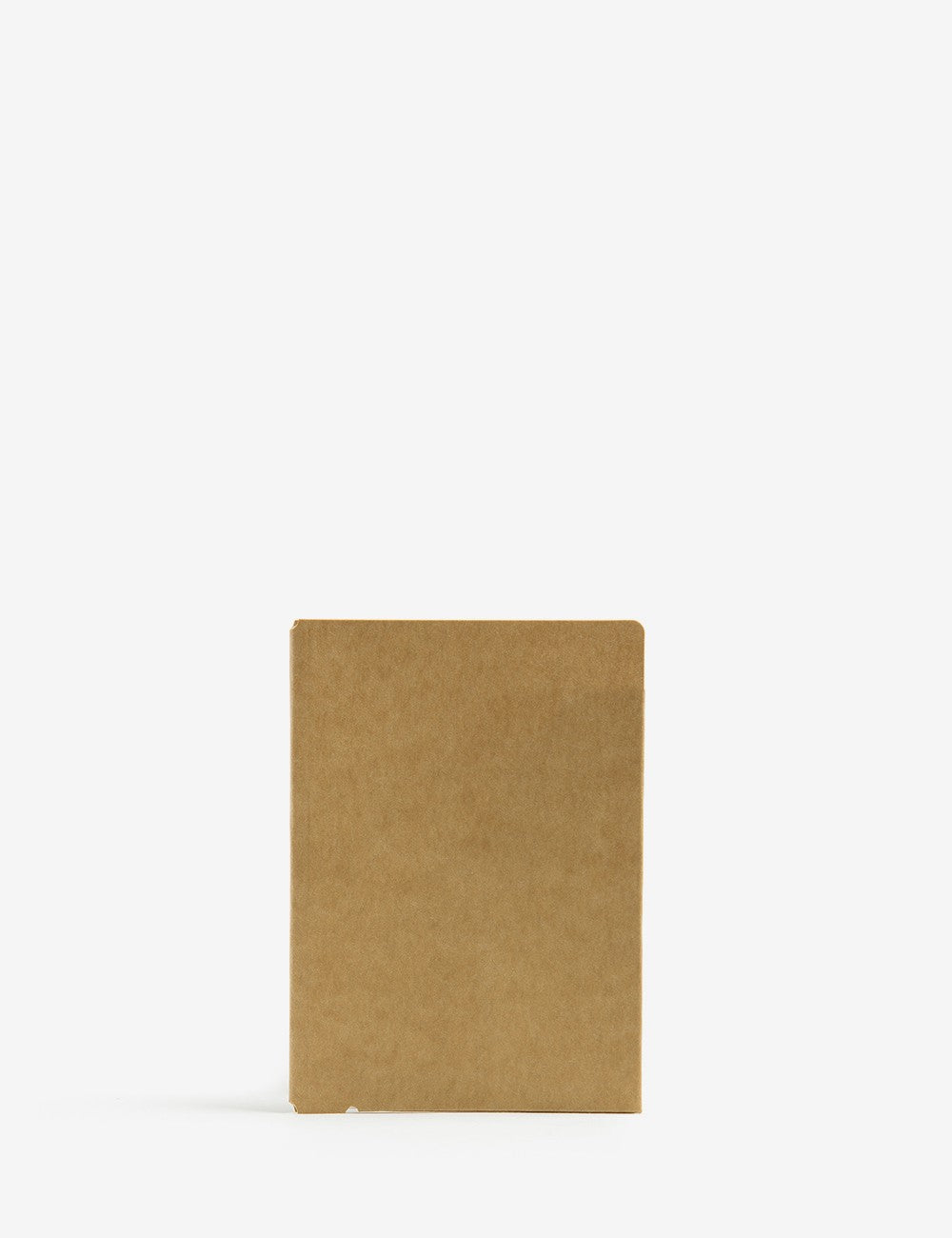 010 KRAFT PAPER FOLDER PASSPORT