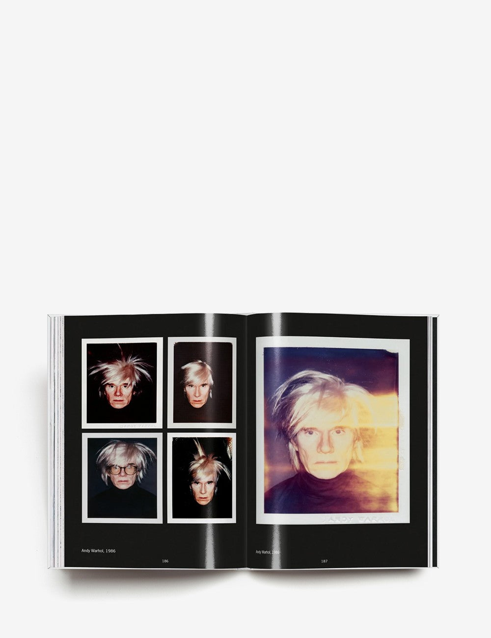 andy warhol. polaroids 1958–1987