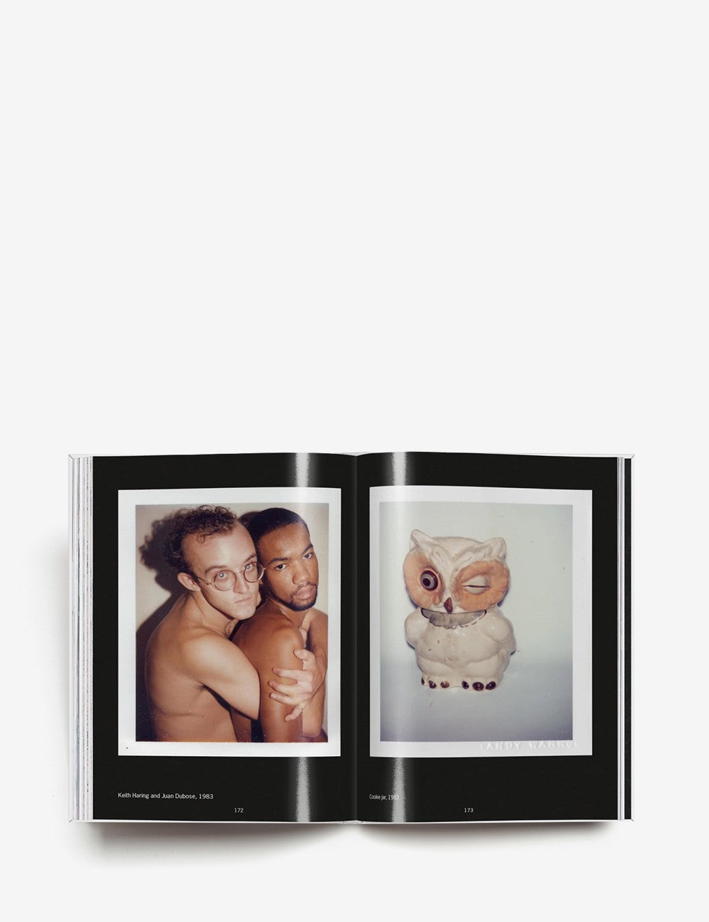 andy warhol. polaroids 1958–1987