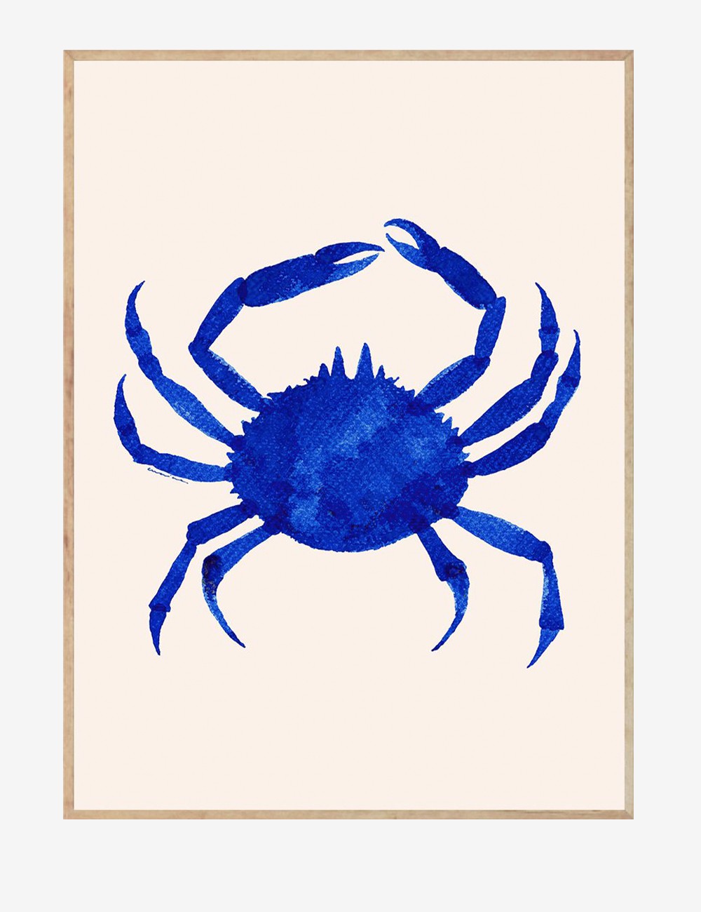 crabe de nuit