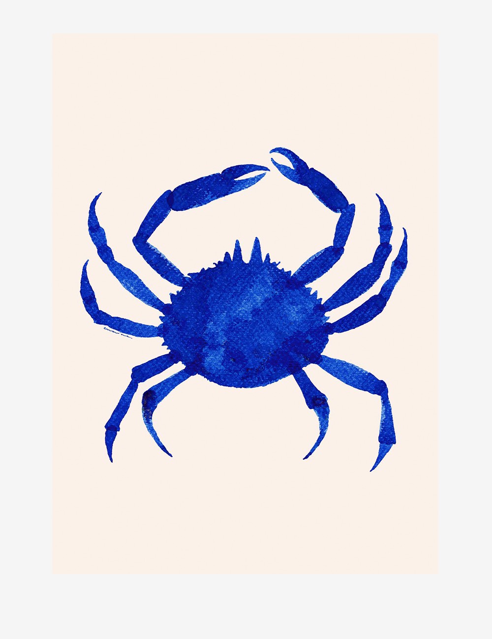 crabe de nuit