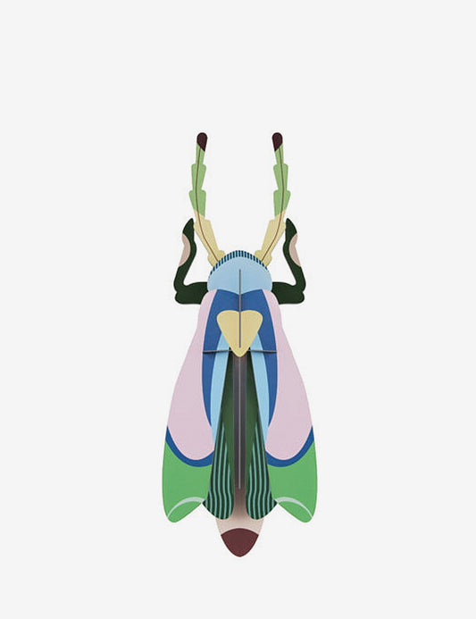 SAKURA BEETLE