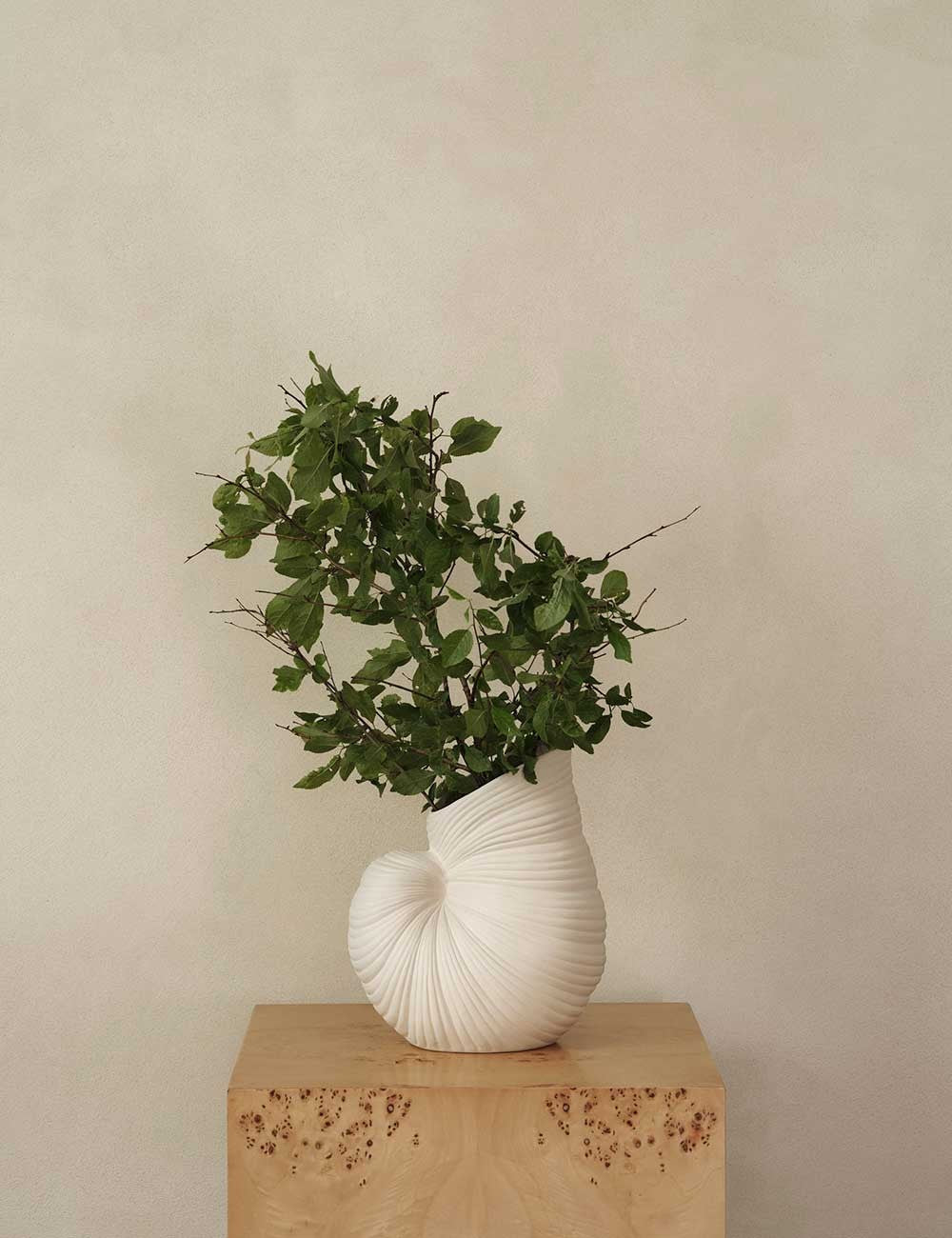 Vase Shell