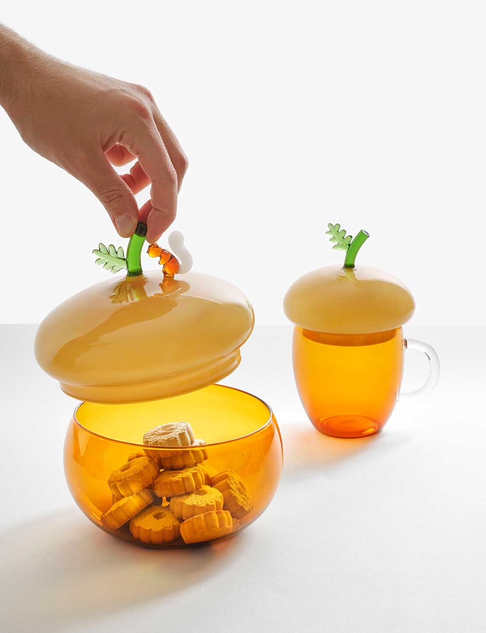 coupe de gland