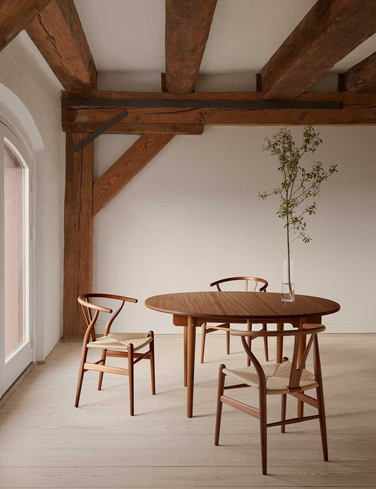 ch24 wishbone chair caoba