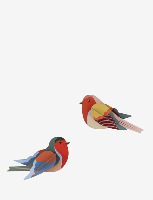 ROBINS