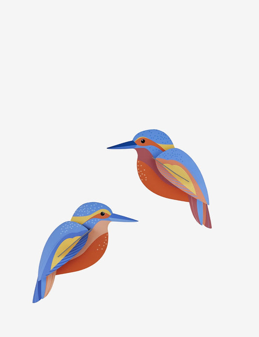 KINGFISHERS