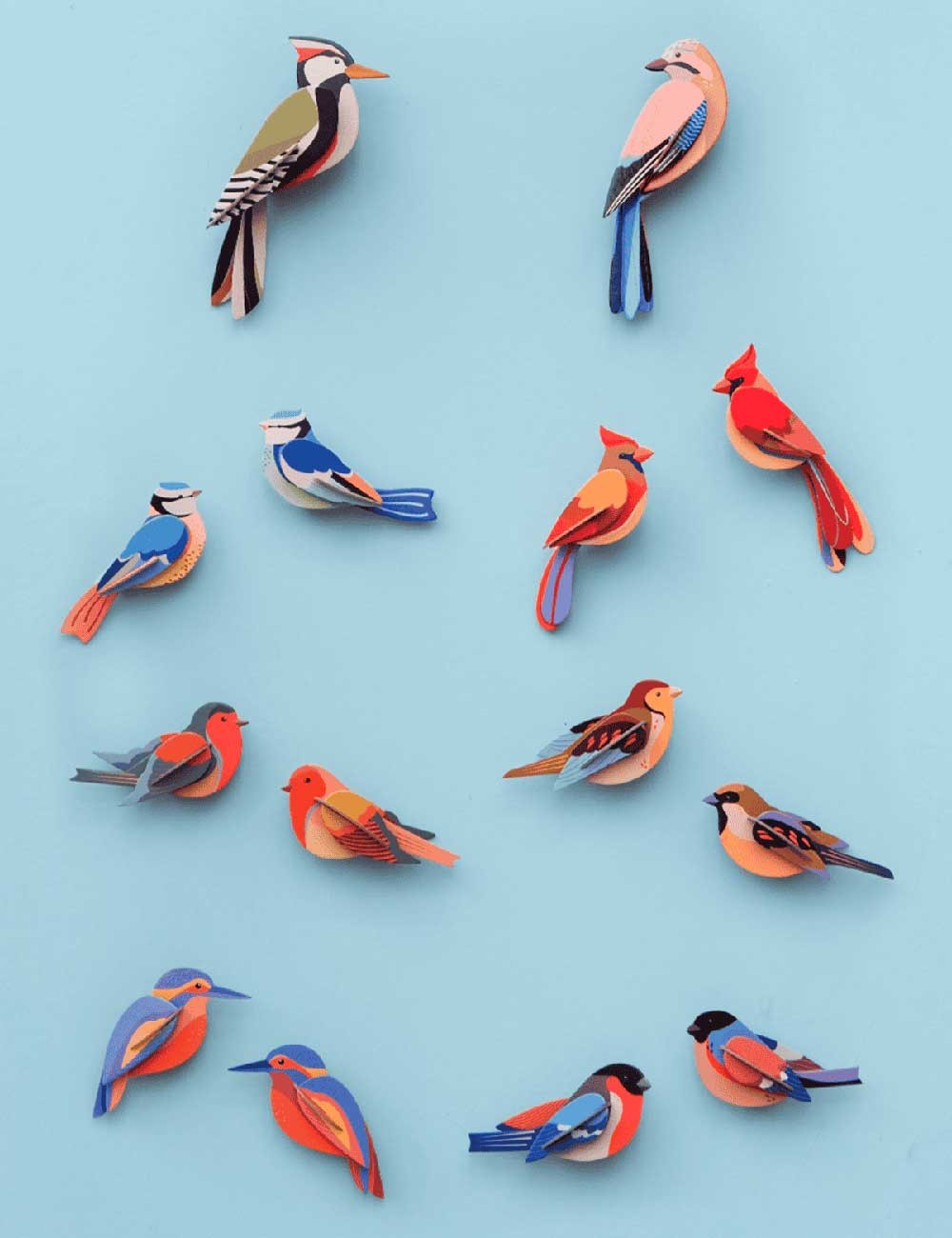 sparrows
