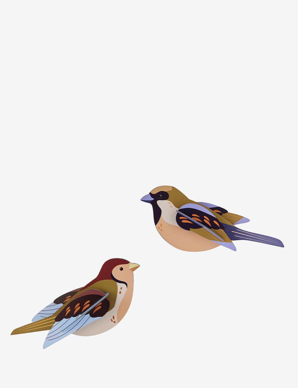 sparrows