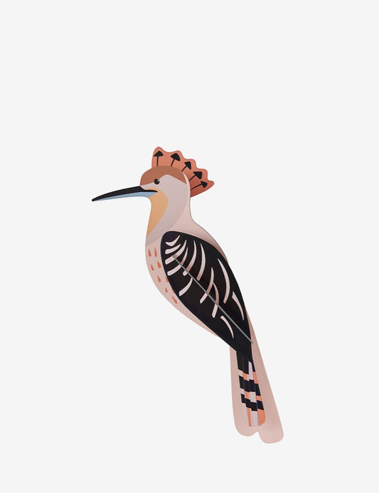 HOOPOE