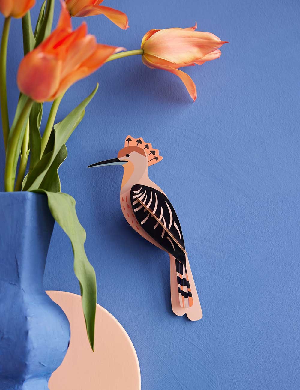 hoopoe