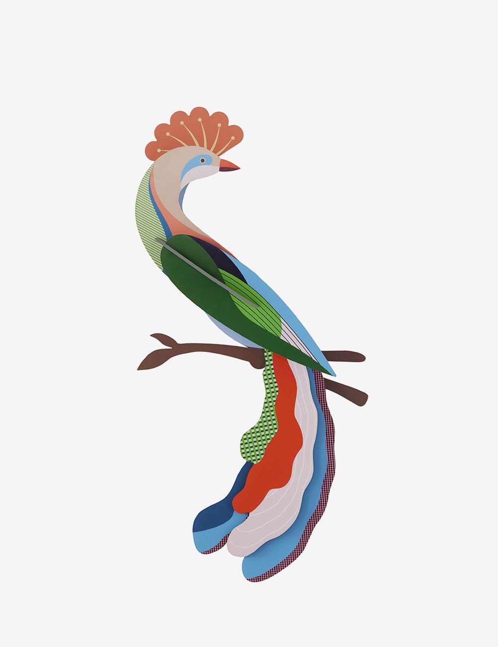 PARADISE BIRD METI