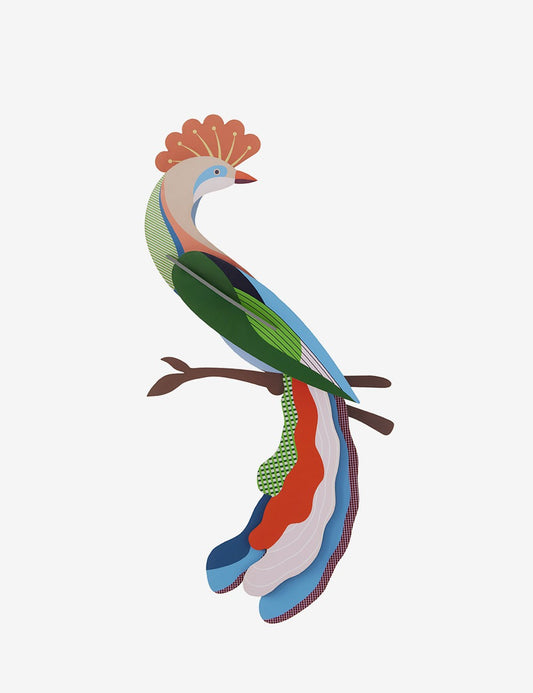 PARADISE BIRD METI