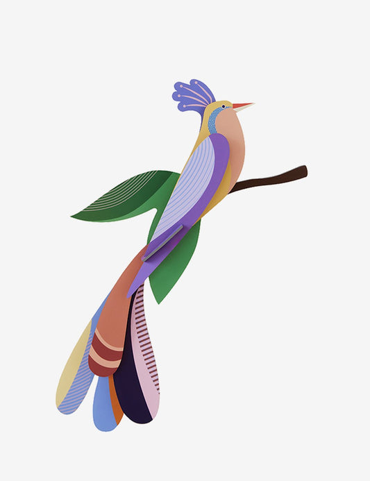PARADISE BIRD BISA
