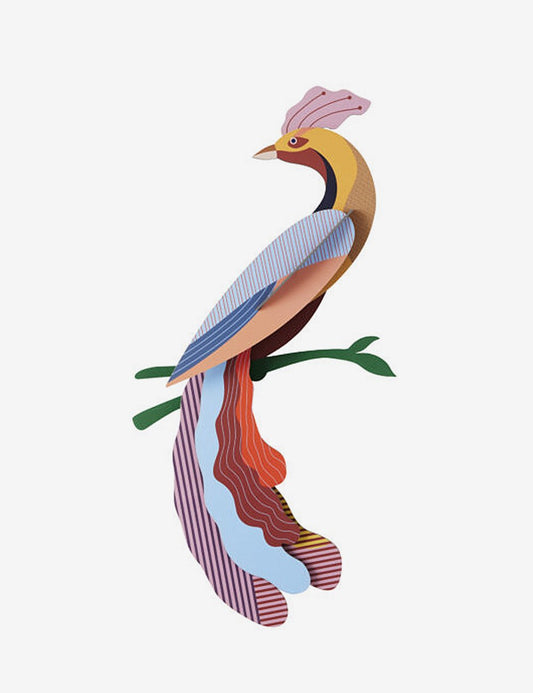 PARADISE BIRD NUSA