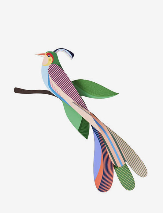 PARADISE BIRD MAYA