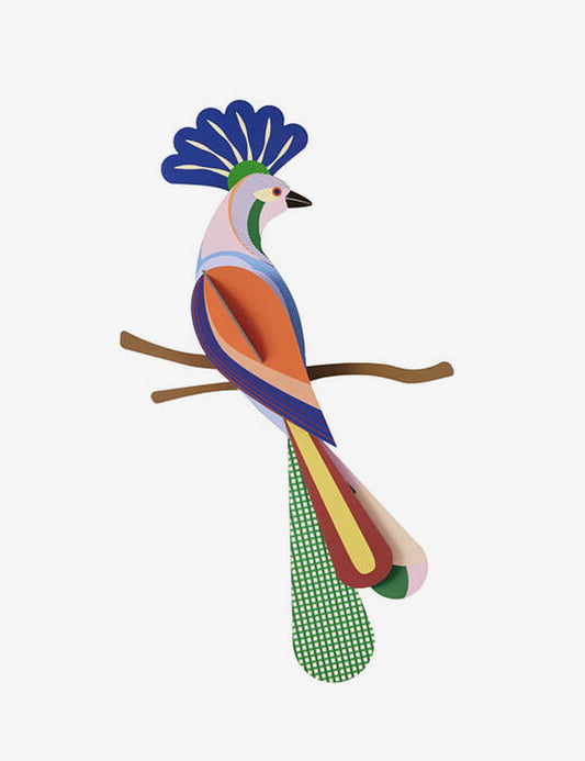 PARADISE BIRD TINJIL