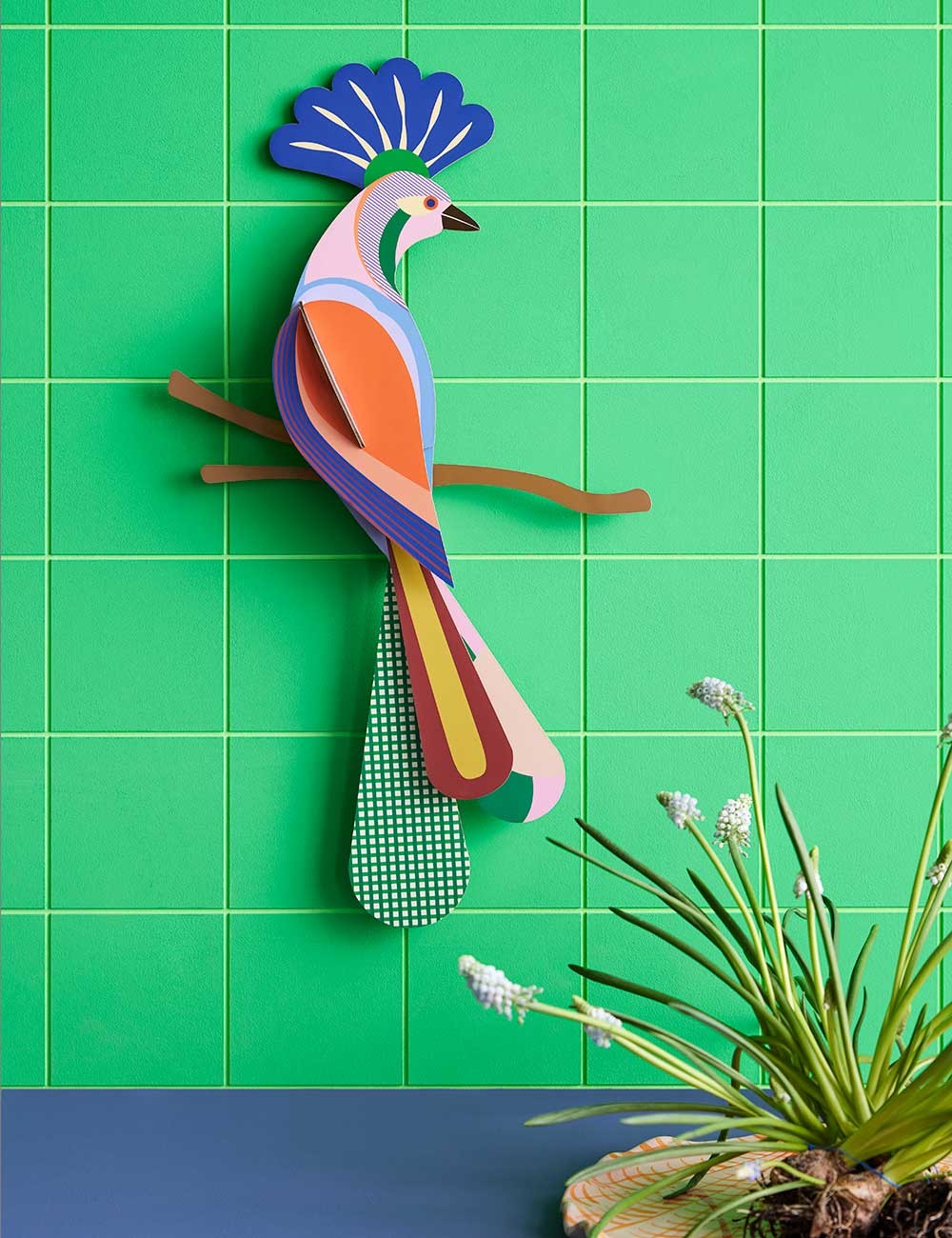 PARADISE BIRD TINJIL