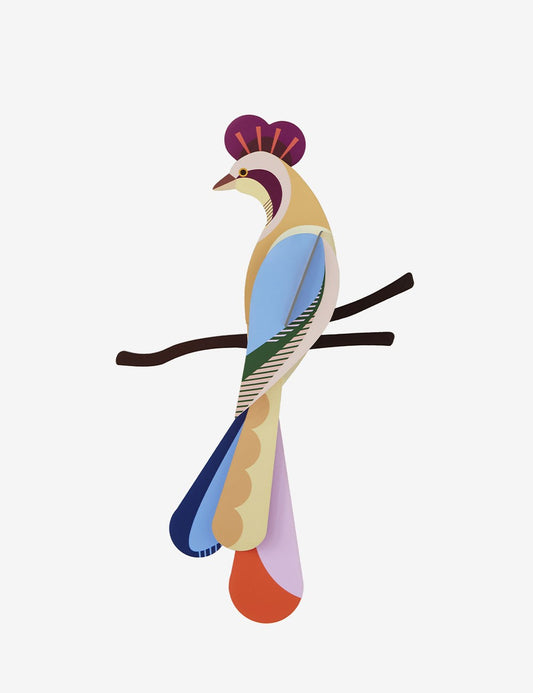 PARADISE BIRD SUNDA