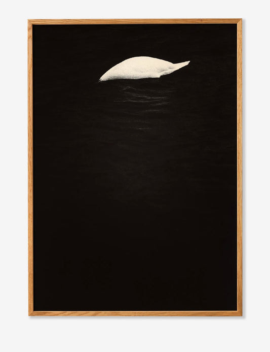 SWAN