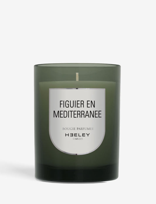 FIGUIER EN MEDITERRANEE