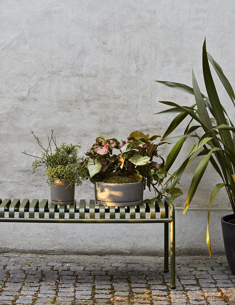 Palissade bench