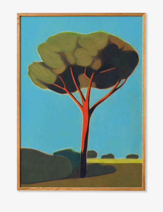 pinetree in toscana