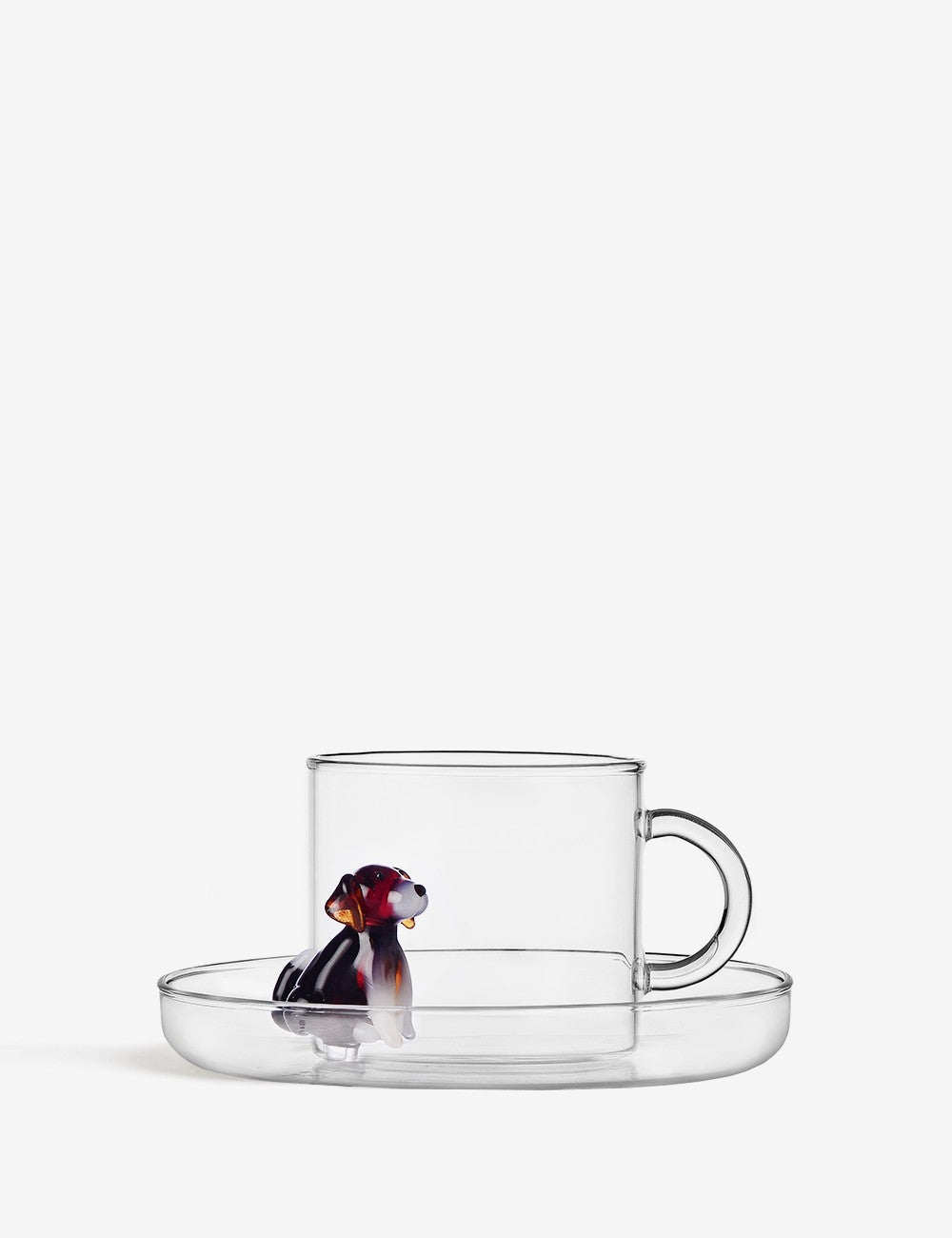 taza english foxhound