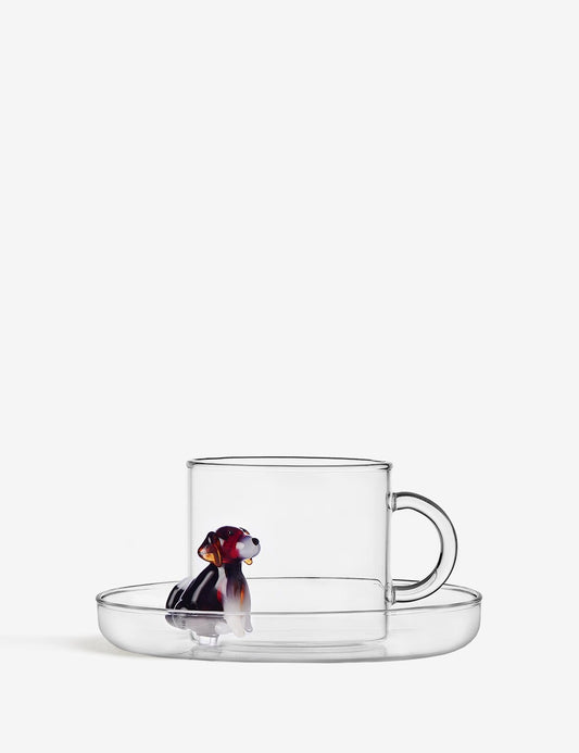 taza english foxhound